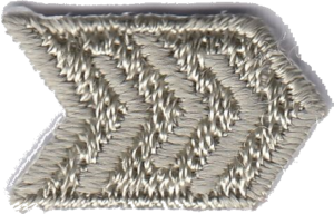 FRECCIA  D GRIGIO CH.