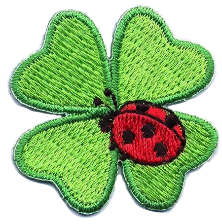 FIORE CON COCCINELLA