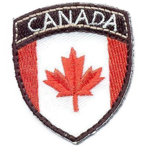 BANDIERA IN SCUDO PICC.