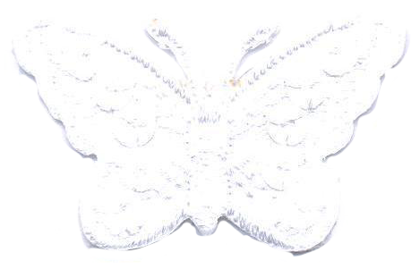 FARFALLA PICC.+PAILLETTES  BIANCO