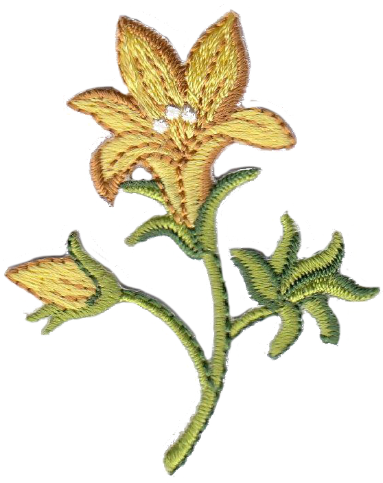 FIORE GIGLIO  GIALLO