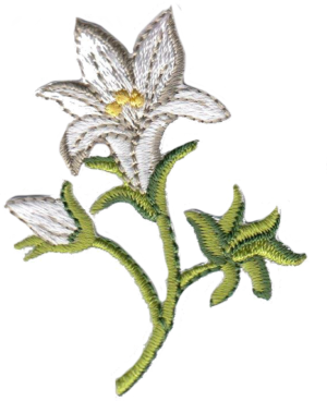 FIORE GIGLIO  BIANCO