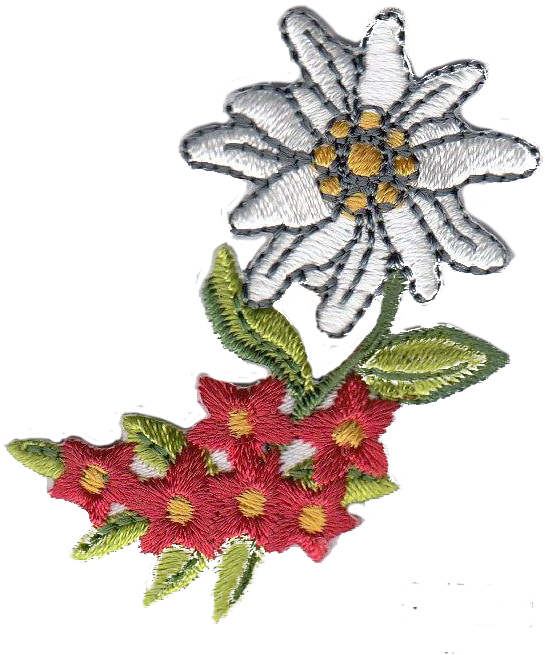 STELLA ALPINA CON FIORI