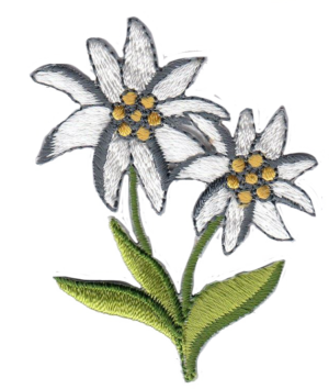 STELLA ALPINA SX [A]