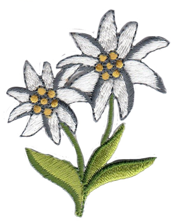 STELLA ALPINA DX [B]