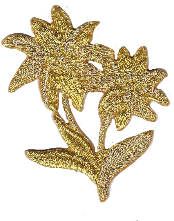 STELLA ALPINA ORO SX [A]