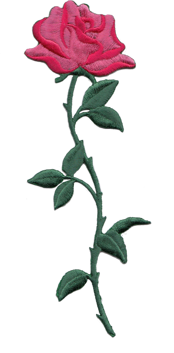 ROSA CON STELO  FUXIA
