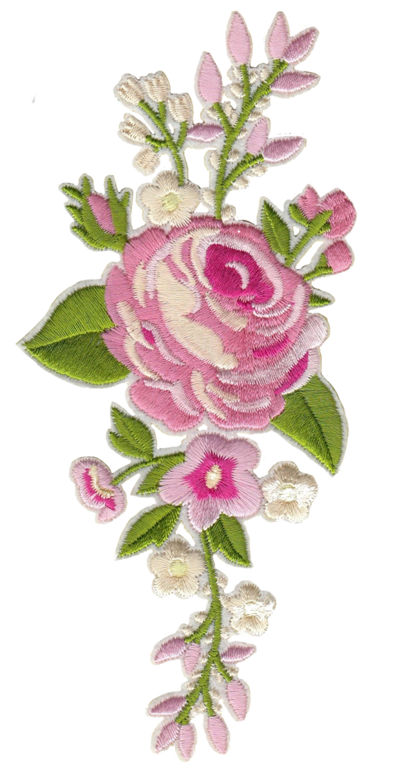 ROSA MULTICOLOR  ROSA