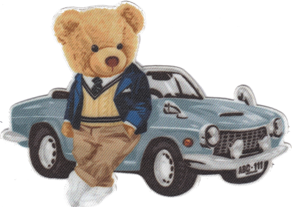 ORSO CON AUTOMOBILE